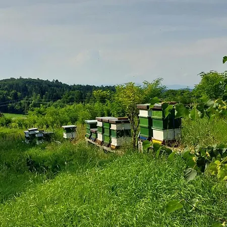 Beim Bergjosl * Kirchbach in Steiermark