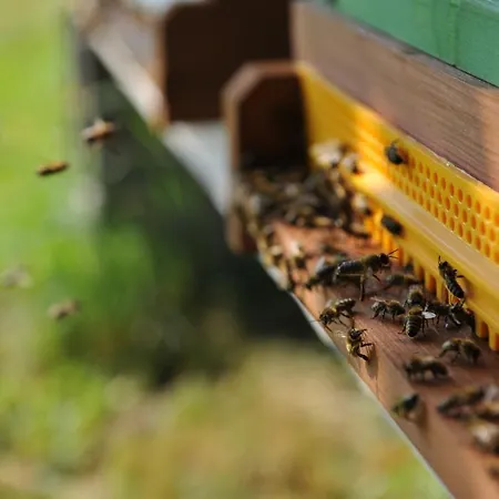 Apartman Beim Bergjosl Kirchbach in Steiermark