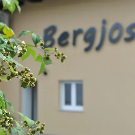 Beim Bergjosl Kirchbach in Steiermark