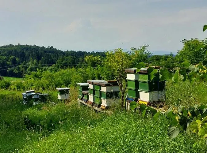 Beim Bergjosl * Kirchbach in Steiermark