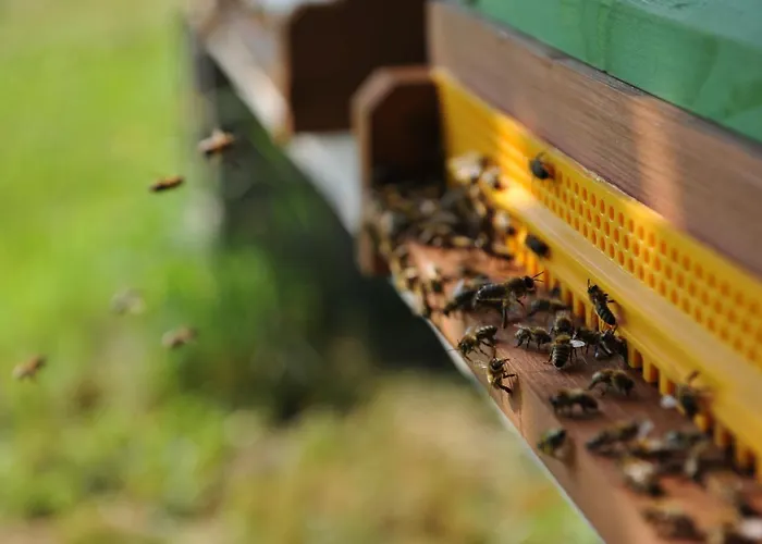 Apartman Beim Bergjosl Kirchbach in Steiermark