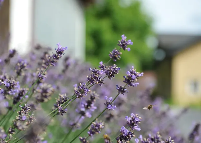Apartman Beim Bergjosl *